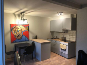 Behagelig to-roms leilighet på Tøyen Oslo